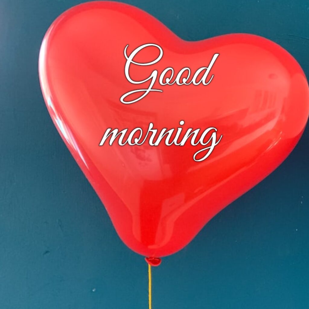 Lovely one red heart looking like a lovely good morning images