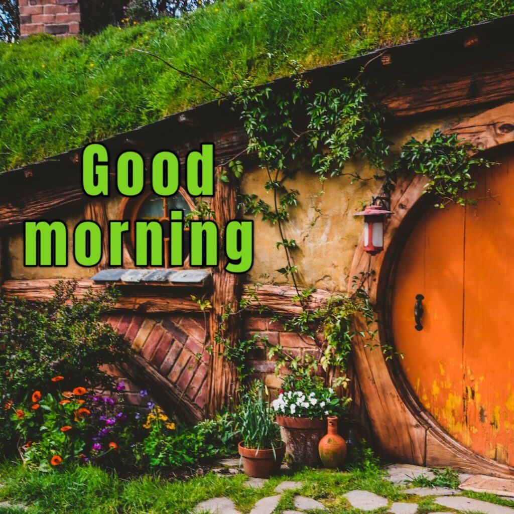 Amazing good morning on sale images hd