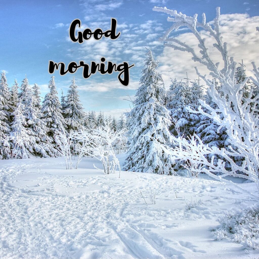 Winter good morning images in this a snow is falling in jungle area