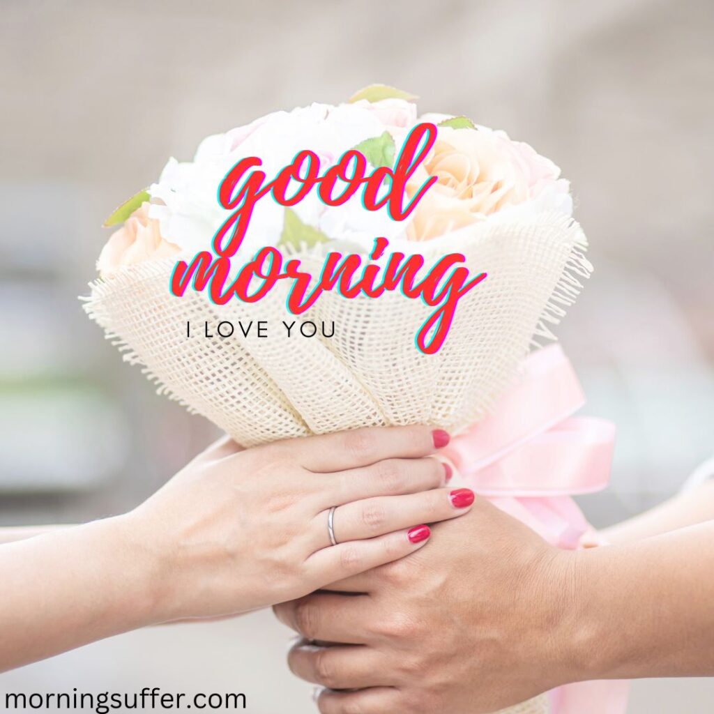 A beautiful flower in hand looking like a good morning images free download
