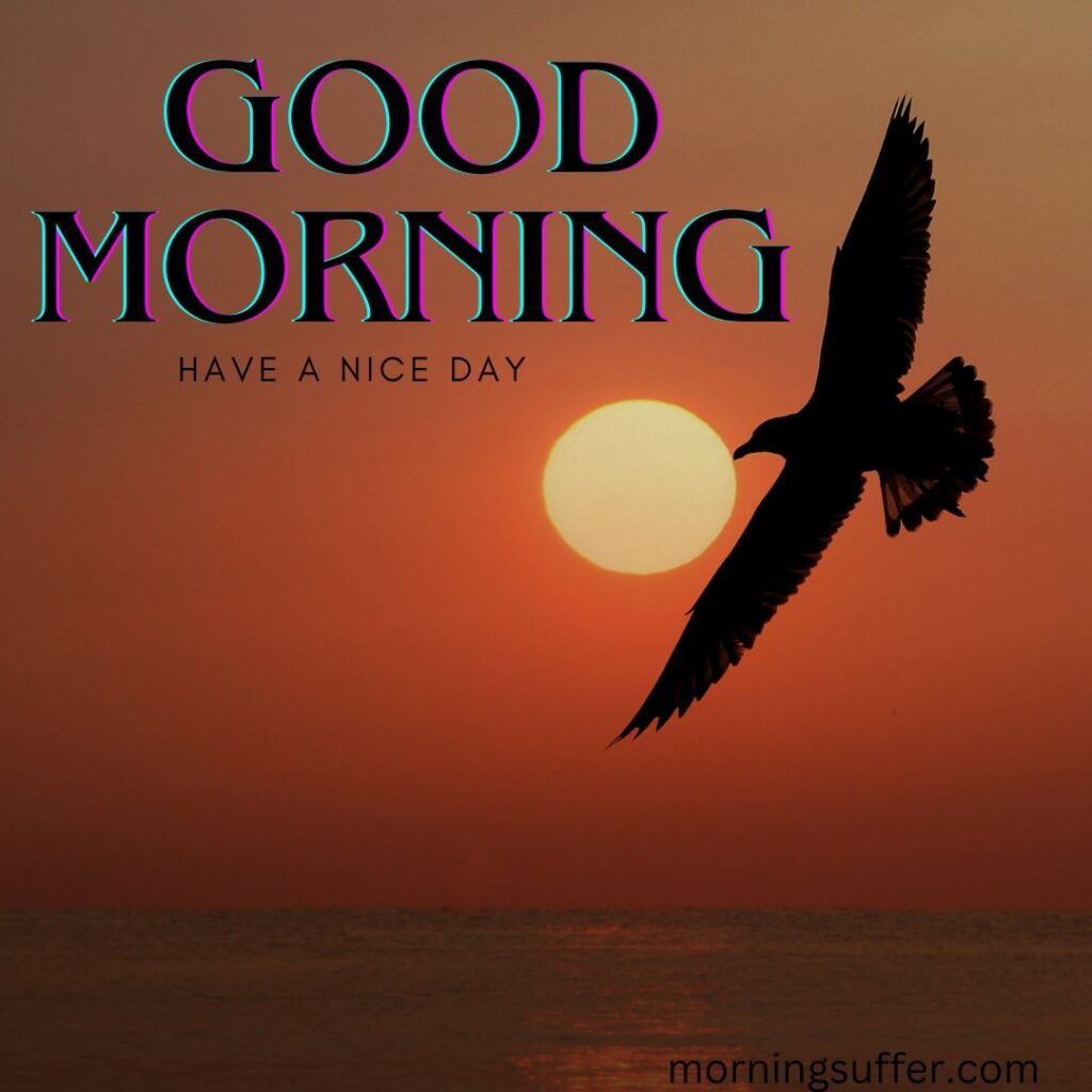 A bird is flying in nature and sun is rising looking like a good morning images free download