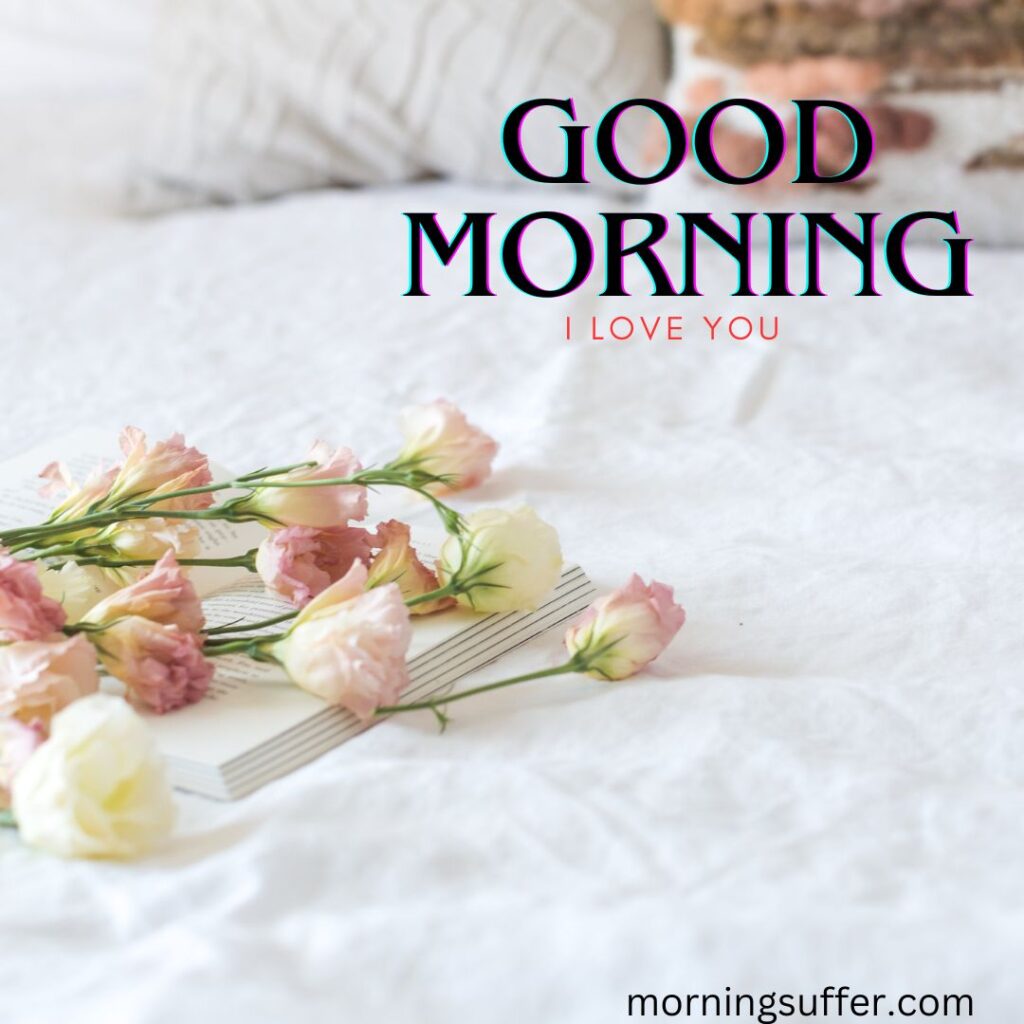 A flower and books putting on the bed in the morning looking like a good morning images free download