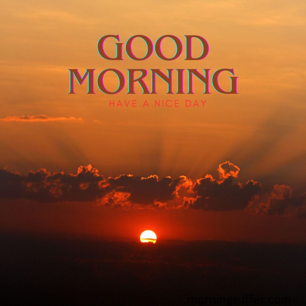 A sun is rising in nature looking like a good morning images free download
