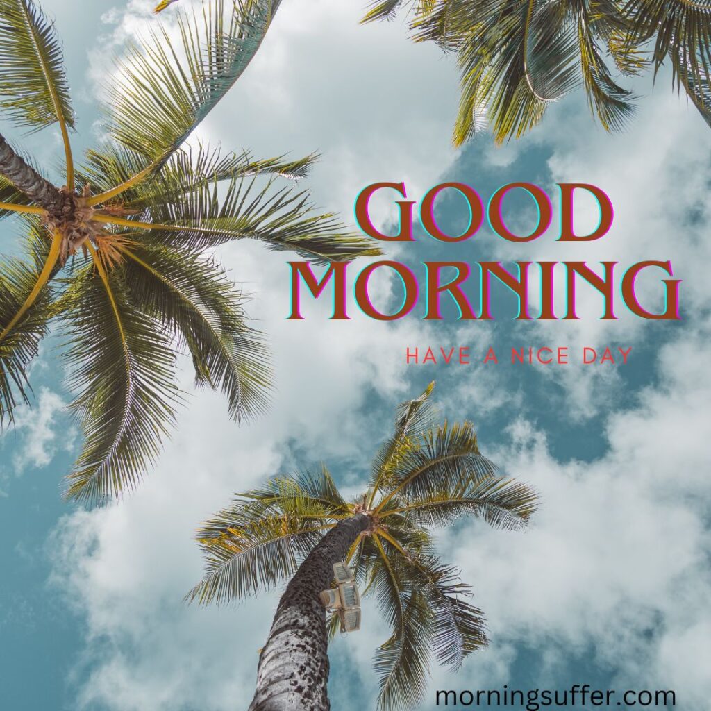 A beautiful cloudy nature looking like a good morning images free download