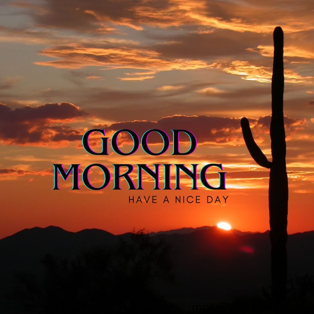 A beautiful cloudy and sun is rising nature looking like a good morning images free download