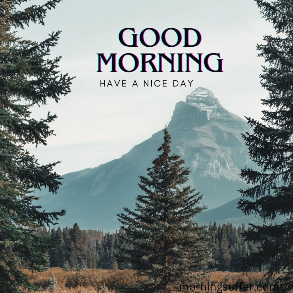 A beautiful forest and mountain nature looking like a good morning images free download