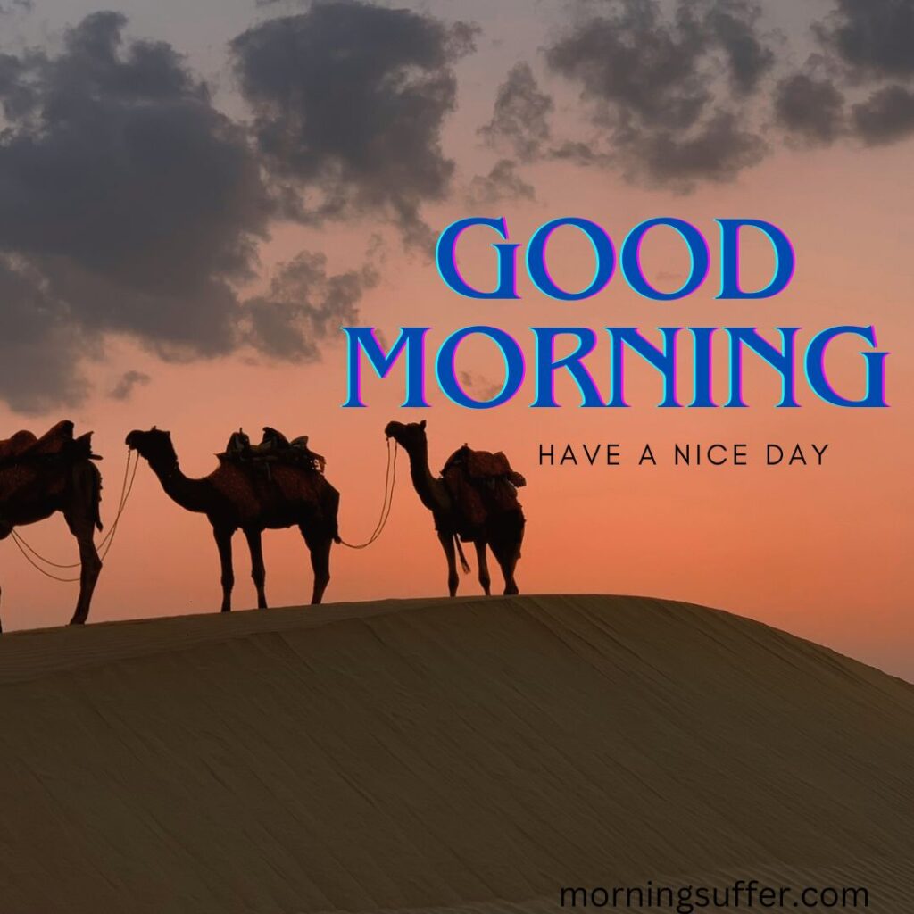 A mountain nature having camel looking like a good morning images free download