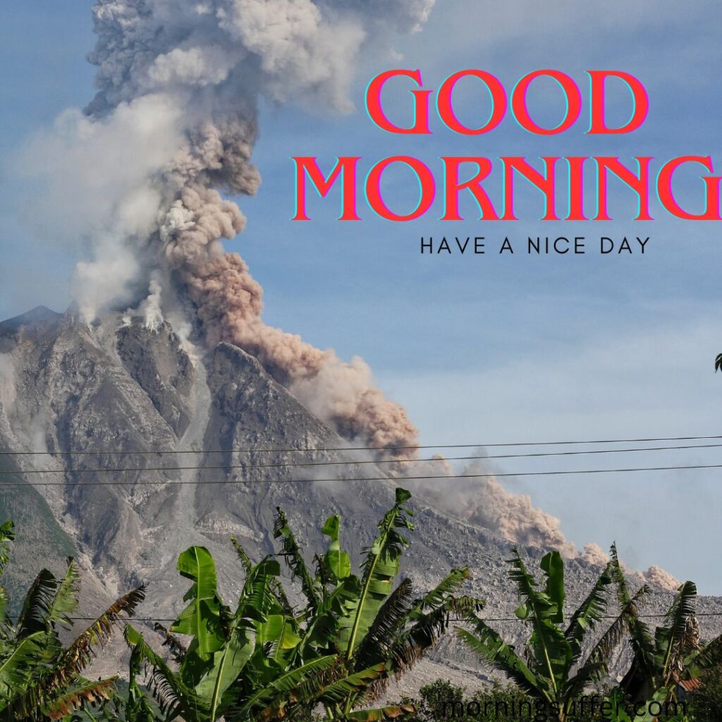 Multiple banana plant near the mountain looking like a good morning images free download