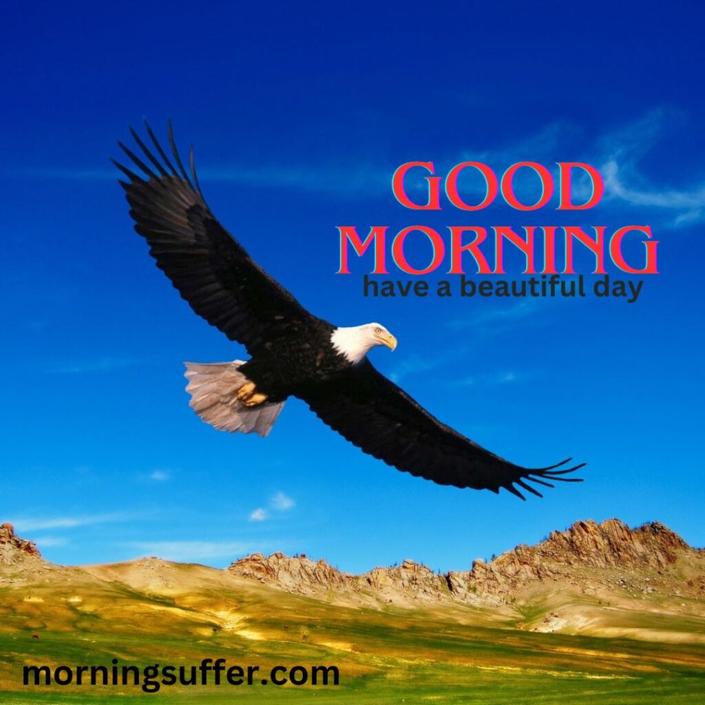 A bird is flying in sky in the morning looking like a special good morning images